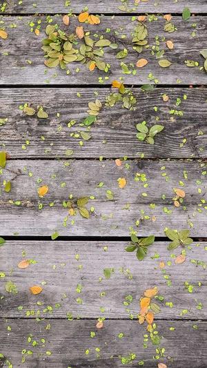 94成人截图3